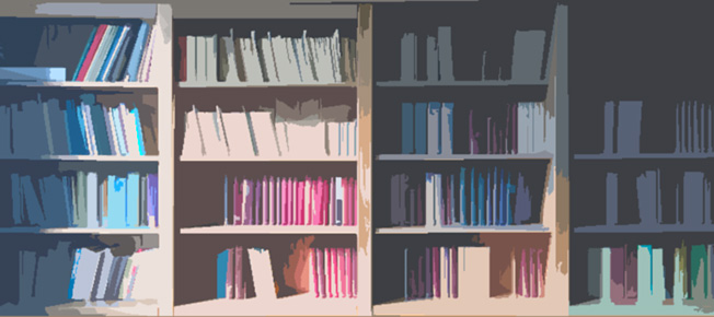 picture of library shelves