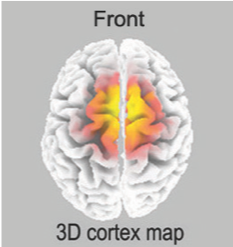 eeg study show 3d cortex map