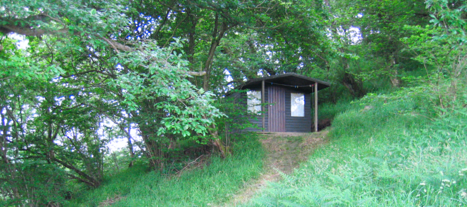 Forest meditation hut