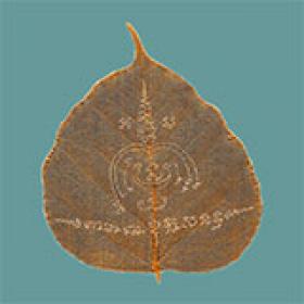 bodhi leaf