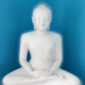 BuddhaBath_2026
